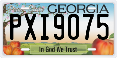 GA license plate PXI9075