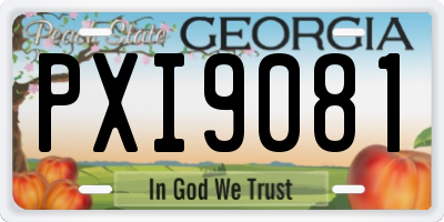 GA license plate PXI9081
