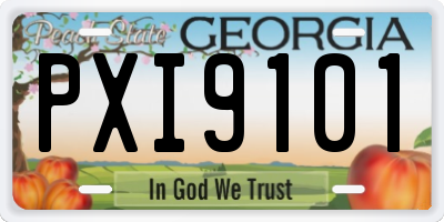 GA license plate PXI9101