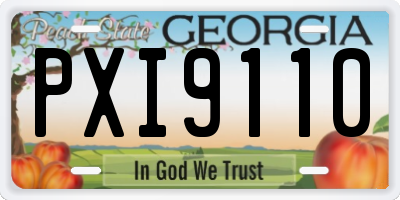 GA license plate PXI9110