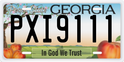 GA license plate PXI9111
