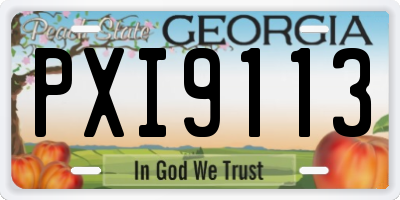 GA license plate PXI9113