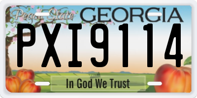 GA license plate PXI9114