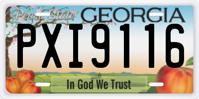 GA license plate PXI9116