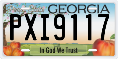 GA license plate PXI9117