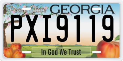 GA license plate PXI9119