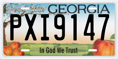 GA license plate PXI9147