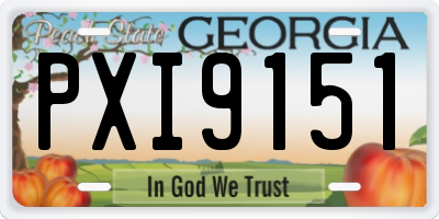 GA license plate PXI9151