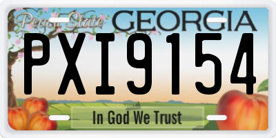GA license plate PXI9154