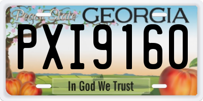GA license plate PXI9160