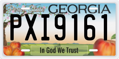 GA license plate PXI9161