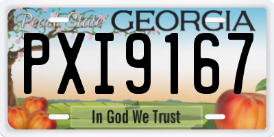 GA license plate PXI9167