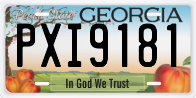 GA license plate PXI9181