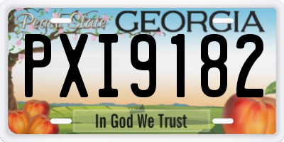 GA license plate PXI9182