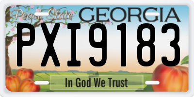 GA license plate PXI9183
