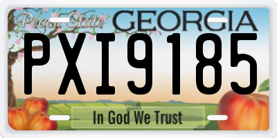 GA license plate PXI9185