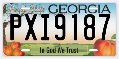 GA license plate PXI9187
