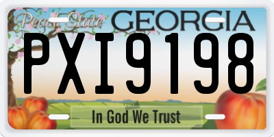 GA license plate PXI9198