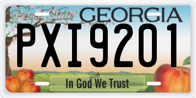 GA license plate PXI9201