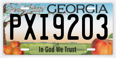 GA license plate PXI9203