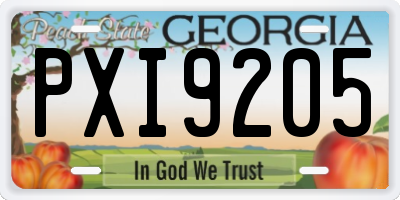 GA license plate PXI9205