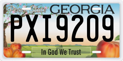 GA license plate PXI9209