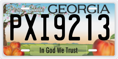 GA license plate PXI9213