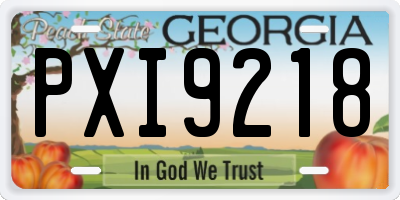 GA license plate PXI9218