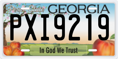 GA license plate PXI9219