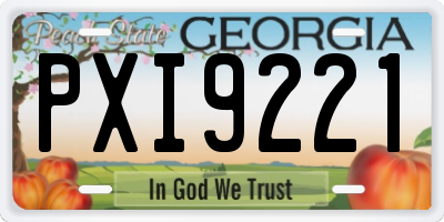 GA license plate PXI9221