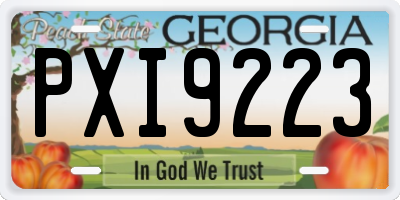 GA license plate PXI9223