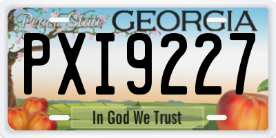 GA license plate PXI9227