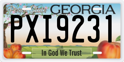 GA license plate PXI9231