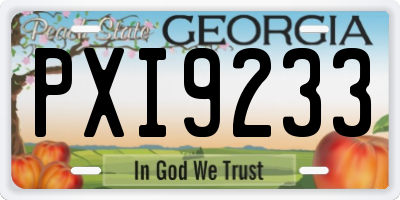 GA license plate PXI9233
