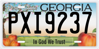 GA license plate PXI9237