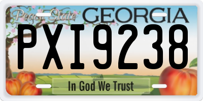GA license plate PXI9238