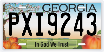 GA license plate PXI9243