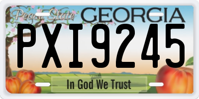 GA license plate PXI9245