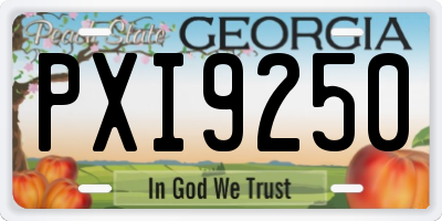 GA license plate PXI9250