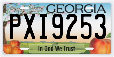 GA license plate PXI9253