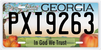 GA license plate PXI9263