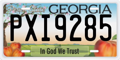 GA license plate PXI9285