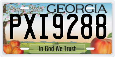 GA license plate PXI9288