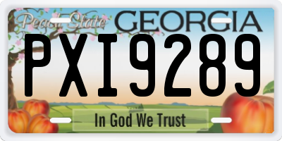 GA license plate PXI9289