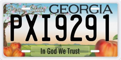 GA license plate PXI9291