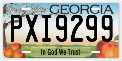GA license plate PXI9299