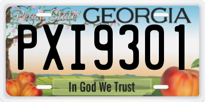 GA license plate PXI9301