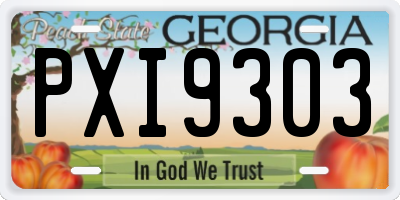 GA license plate PXI9303