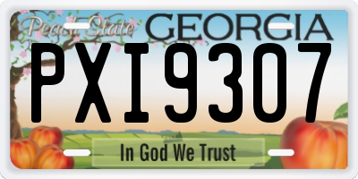 GA license plate PXI9307