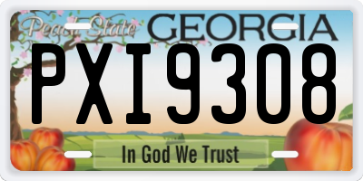 GA license plate PXI9308